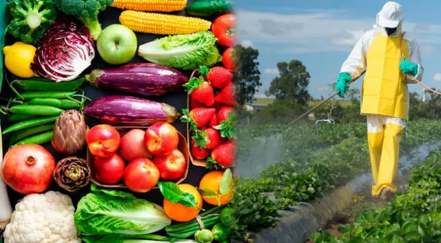 Alimentos de supermercados contendrían pestecidas que son dañinas para el ser humano.