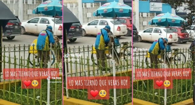 Una escena entre un abuelito vendedor de helados y un perrito de la calle es viral en TikTok.