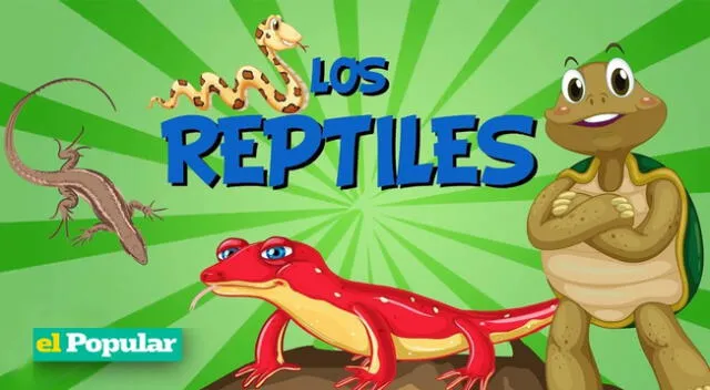Conoce las características de los reptiles.
