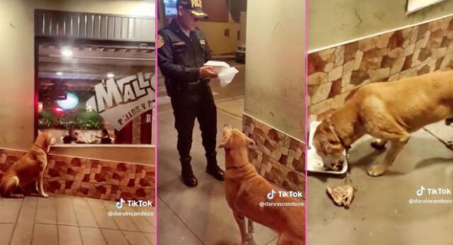 Un policía tuvo un lindo gesto con un perrito que miraba una pollería y en TikTok le agradecen.