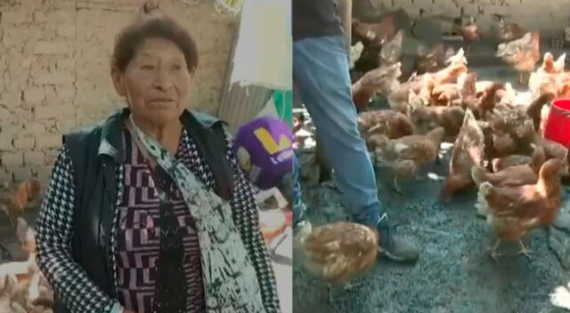 Señora está viviendo en el local comunal tras los huaicos.