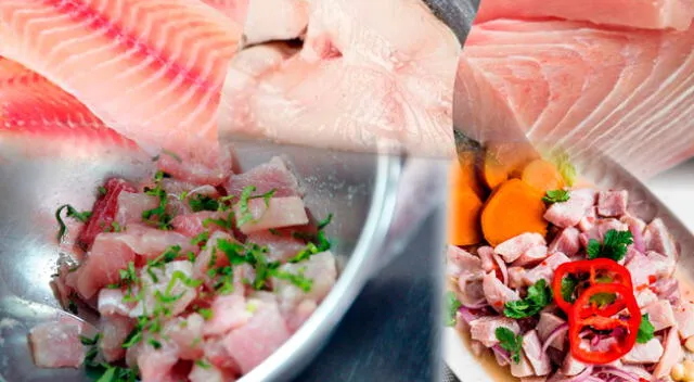 Conoce los mejores pescados para hacer ceviche en casa.