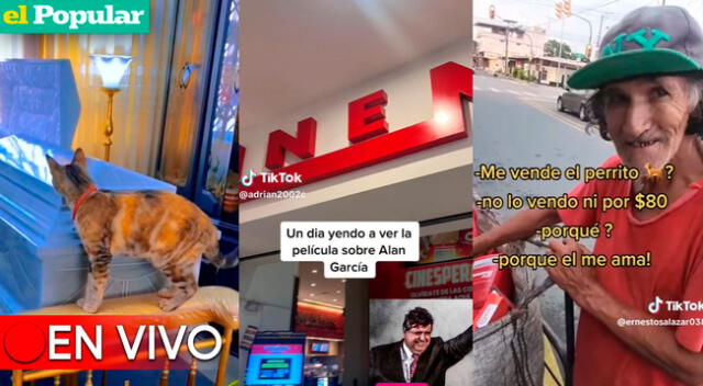 Ríete y comparte lo mejor de TikTok en videos virales.