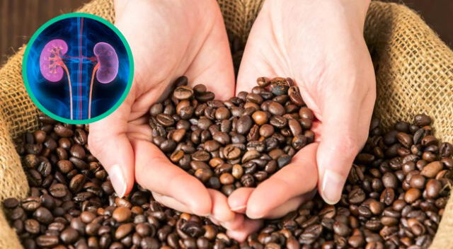 ¿El café es dañino para los riñones?