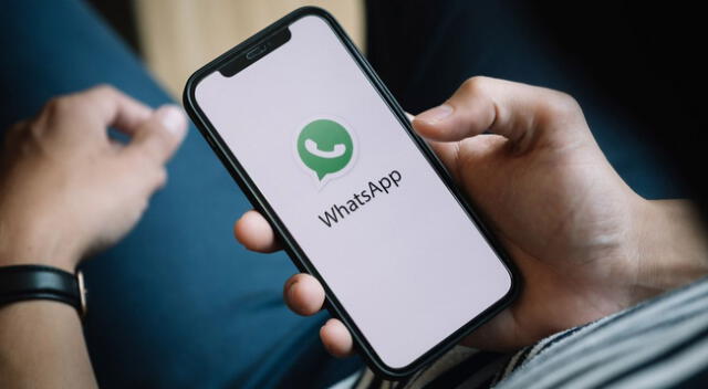 Descubre la nueva función de WhatsApp que viene sorprendido a sus usuarios.