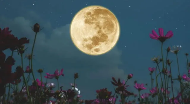 La luna de flores es uno de los eventos astrónomicos más esperados.