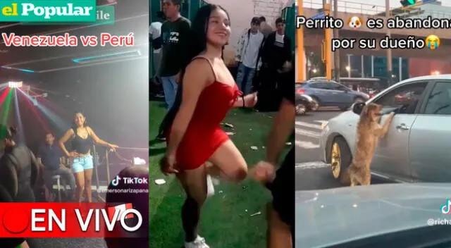 Diviértete con los videos virales más vistos de TikTok.