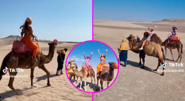 Los paseos en camello en Ica se han convertido en la sensación de TikTok.