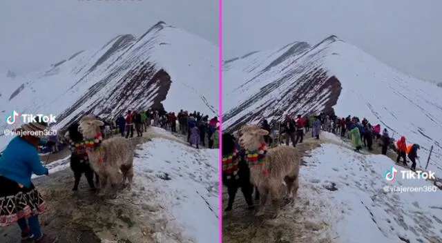 El joven pagó su tour a la montaña, pero se llevó una terrible sorpresa.