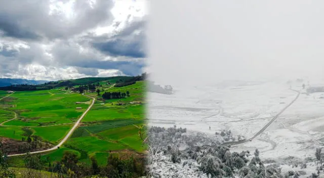 Debido a la nevada que cubrió a toda la región de Cusco, se han tenido que suspender varias actividades.