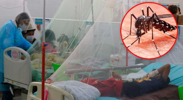 Casos de dengue se observa bastante en los hospitales de Lambayeque.