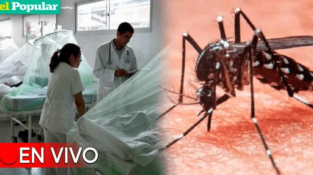 Dengue se dispara en el Perú y alcanza cifras sin precedentes