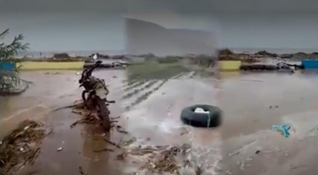 Maretazo inundó tierras de cultivo de arroz y vivienda en Arequipa.