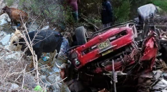 Accidente vehícular en Piura deja dos personas muertas y toros heridos.