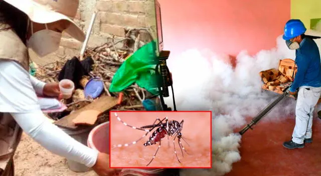 Las muertes por dengue en Lambayeque siguen aumentando.