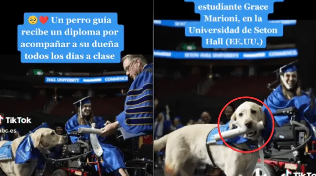 El can se llevó las miradas en la ceremonia de graduación.