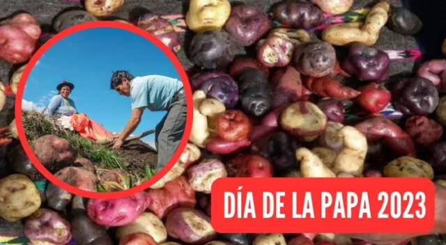 Cada 30 de mayo se celebra el Día Nacional de la Papá.