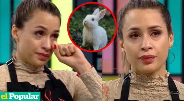 Los fieles seguidores de la modelo Milett Figueroa compartieron su dolor al no querer cocinar conejo.