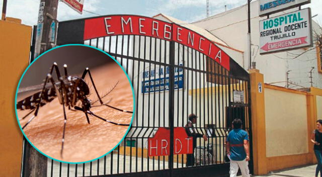 El adolescente perdió la vida tras llegar grave por dengue en hospital de Trujillo.