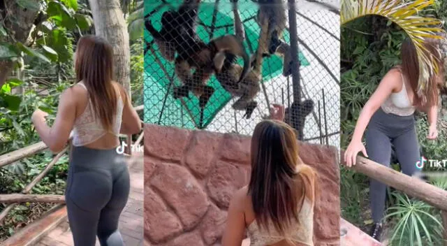 Joven venezolana llamó la atención en las redes sociales con su forma de conocer el Parque de las Leyendas.