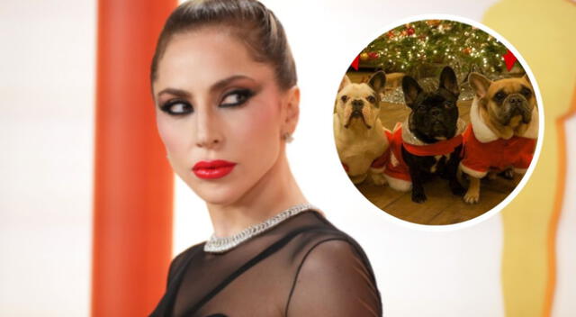 Lady Gaga no pagó el medio millón de dólares de recompensa de sus mascotas.