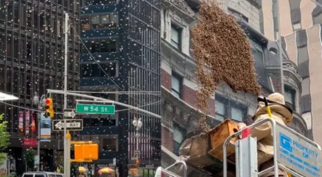 La invasión de abejas causó pánico en todos los habitantes de Nueva York.