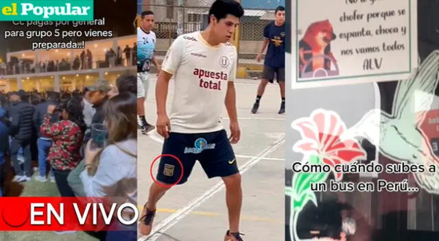 No te pierdas los videos más vistos de TikTok de hoy lunes 19 de junio.