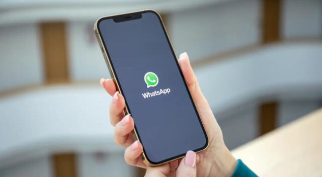 Conoce todo sobre la nueva actualización de WhatsApp.