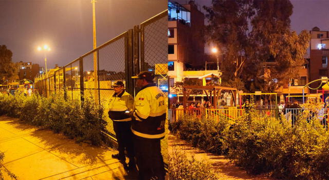 No es la primera vez que ocurre un accidente en este parque.