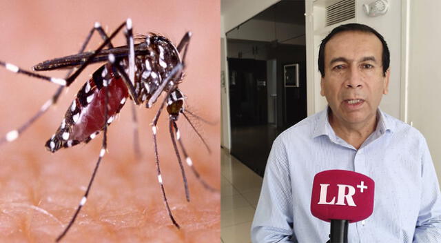 Indicó que es importante que los pacientes acudan al hospital si presentan síntomas.