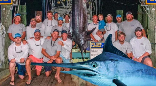 Una tripulación fue descalificada de un certamen de pesca, después que su presa presentara 'Mutilación'