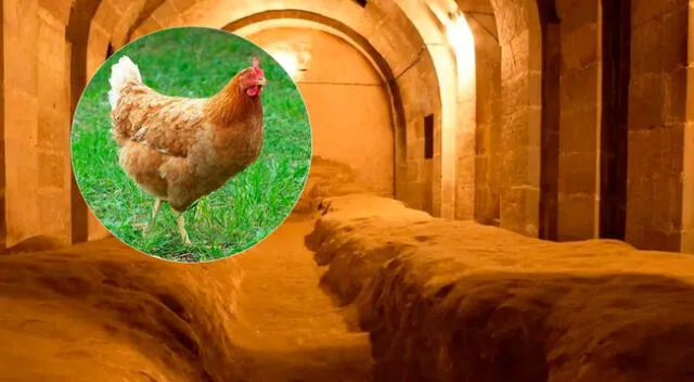 Una persecución de gallinas termina con el descubrimiento de una ciudad subterránea milenaria
