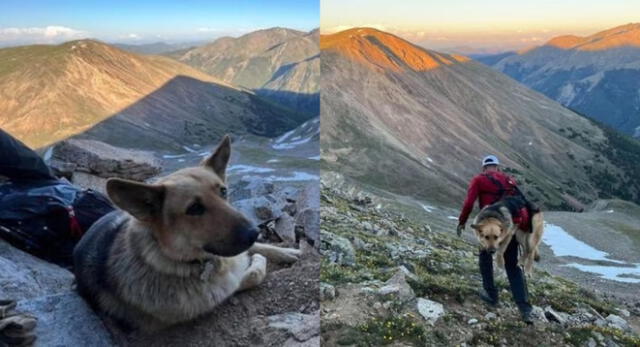 Bailey es el perrito que se negó a bajar con su dueño luego de llegar a la cima de una montaña.