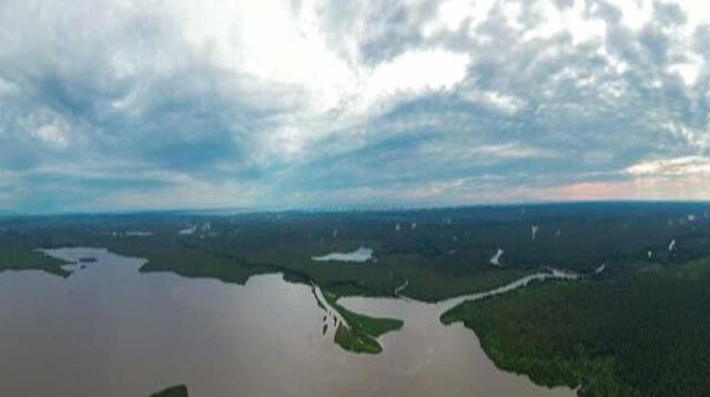 Reservas de carbono de la Amazonía tiene potencial para mitigar el cambio climático