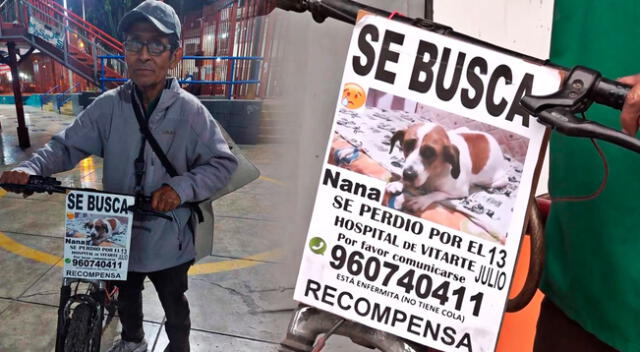 El adulto mayor no pierde las esperanzas de encontrar a su mascota, quien se perdió en Ate.