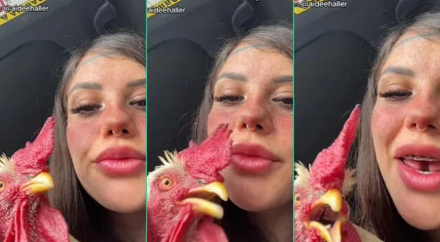 La peculiar acción del gallo fue viral en Tiktok.