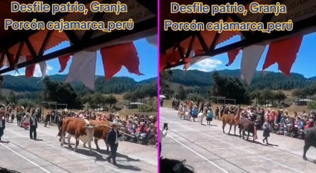 La marcha en Cajamarca se llevó los aplusos de miles en TikTok.