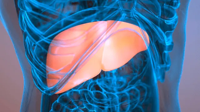Descubre los trucos caseros para ayudar al funcionamiento del hígado.