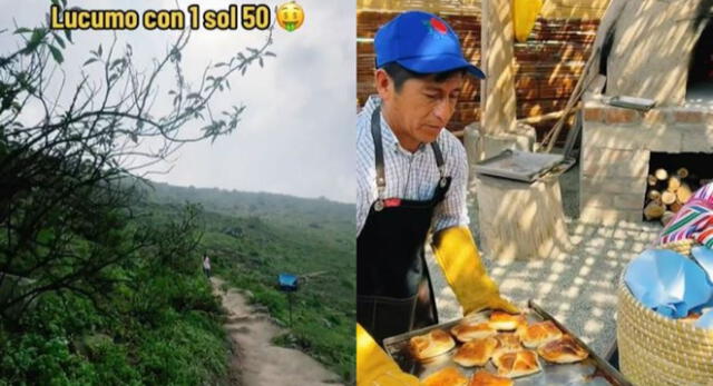 Peruano revela cómo llegar a las Lomas de Lúcumo con 1 sol 50 y datazo es viral en TikTok.