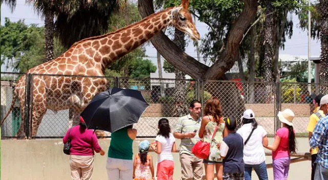 Conoce los mejores lugares que podrías visitar en Lima en el Día del Niño