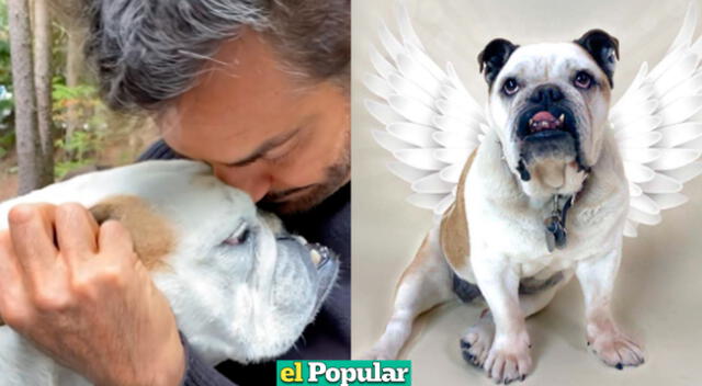 Eugenio Derbez se siente muy triste por la périda de su fiel mascota 'Fiona'.