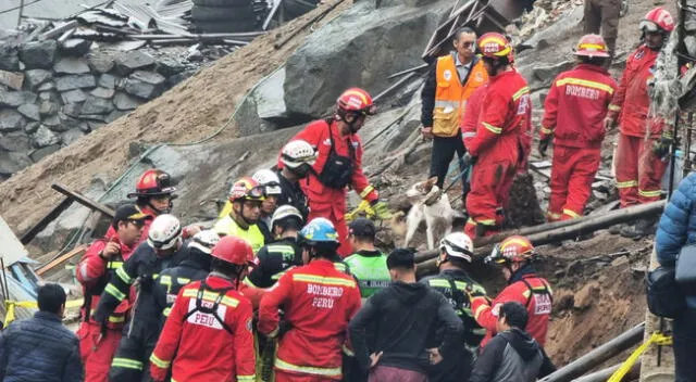 Bomberos con mascota buscando cuerpo de menor.