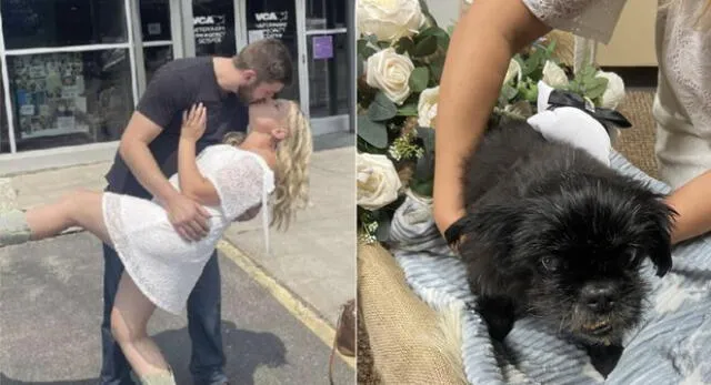 Pareja adelantó su boda y se casó en veterinaria para que su perrita esté presente