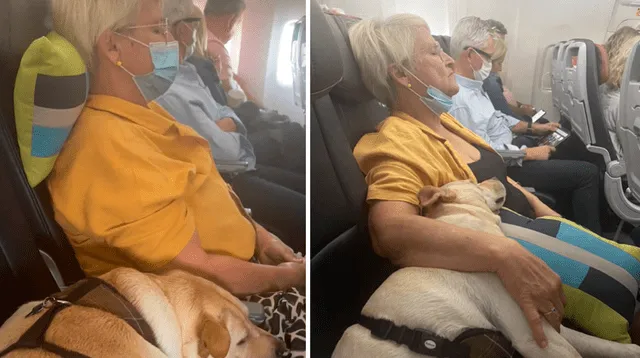 Una pasajera se volvió viral al dormir junto a un can en un vuelo de avión.