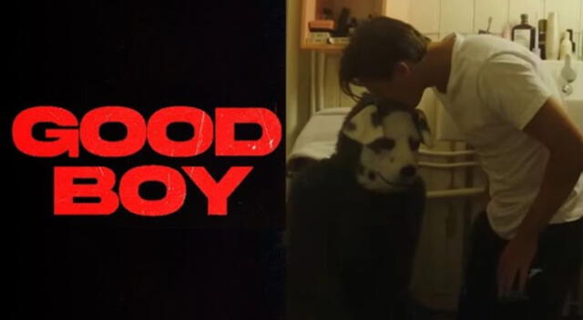 Good Boy: Sinopsis, clasificación y más detalles de la película de terror.