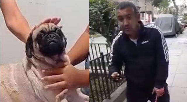 Fiscalpia investiga a Alonso Santa Cruz Túpac Yupanqui por atacar a una perrita en La Victoria