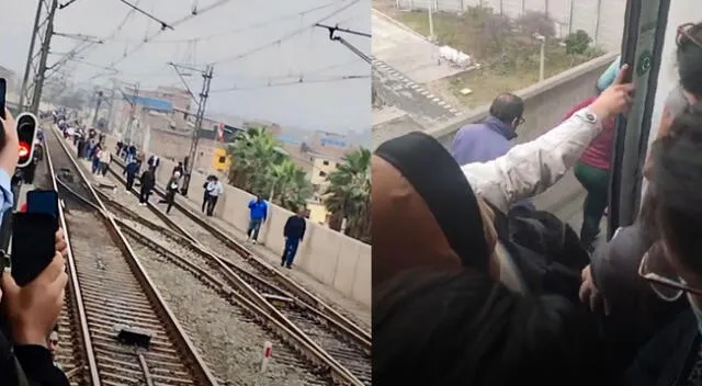 Usuarios bajan del tren arriesgando su vida y caminan por los rieles.