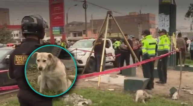 Hombre muere tras sacar a su perro a pasear en Comas.