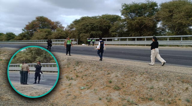 Cuerpo desmembrado es encontrado en carretera Panamericana Norte, Piura.