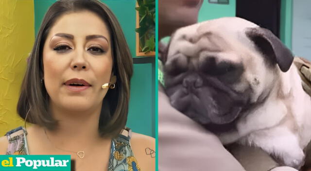 Karla Tarazona envió un fuerte mensaje tras lo ocurrido con la mascota.